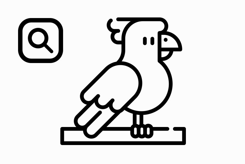 Alerte Disparition Oiseau Mâle, 2026 ans Chas France