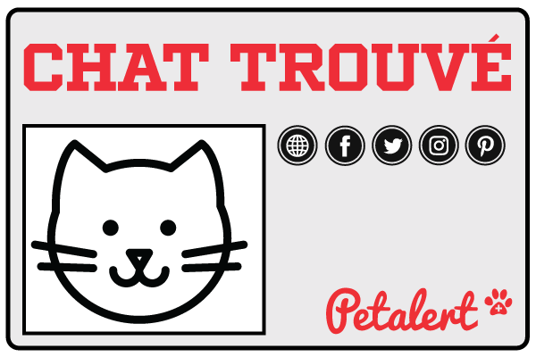 Pet Alert diffuse votre avis de chat trouvé