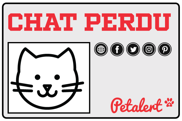 Pet Alert diffuse votre avis de chat perdu