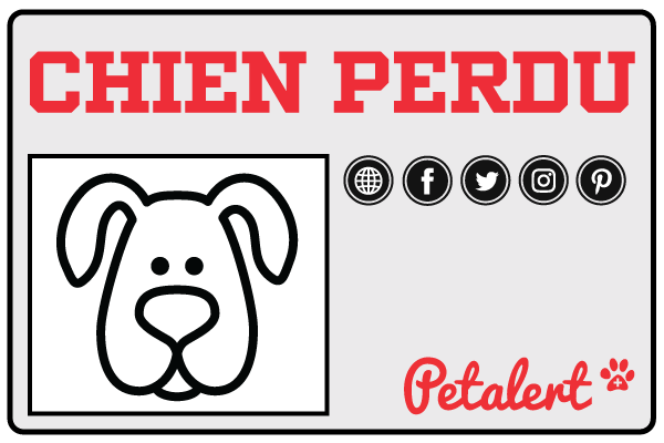 Pet Alert diffuse votre avis de chien perdu