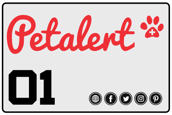Animaux perdus et trouvés sur Pet Alert Ain