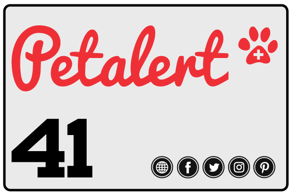 Animaux perdus et trouvés sur Pet Alert Loir-et-Cher