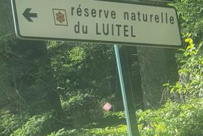 Ontdekkingsalarm Kat Onbekend Saint-Martin-d'Uriage Frankrijk