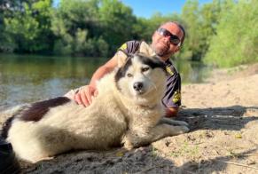 Alerta desaparecimento Cão cruzamento Macho , 7 anos Béziers França